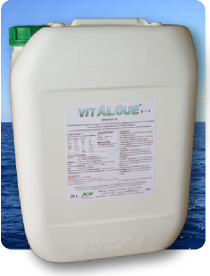 Vitalgue 8-7-4 ®